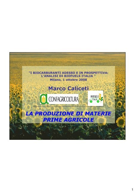 Marco Caliceti LA PRODUZIONE DI MATERIE PRIME AGRICOLE