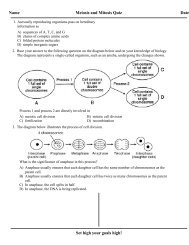 Mitosis and Meiosis Quiz 9