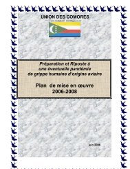Plan de mise en Åuvre 2006-2008