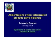 Alimentazione ovina: valorizzare il prodotto salva il ... - ARA Sardegna