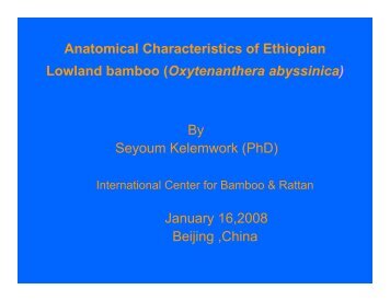 Anatomical Characteristics of Ethiopian Lowland bamboo ...