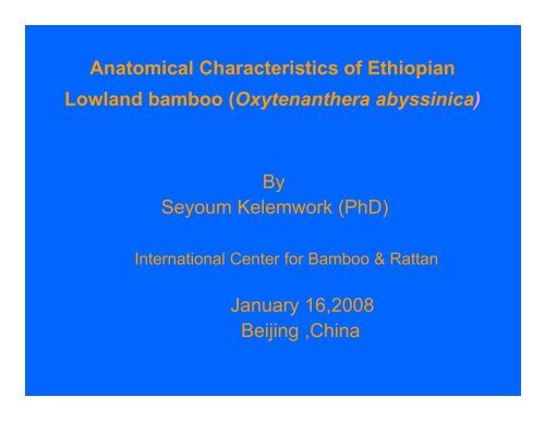 Anatomical Characteristics of Ethiopian Lowland bamboo ...