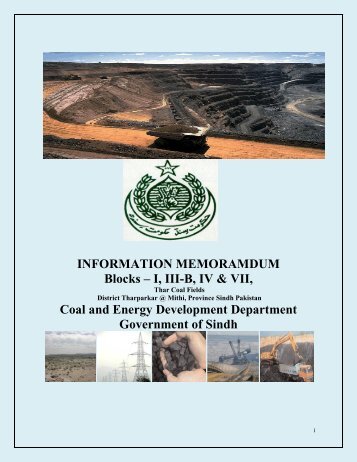 Information Memorandum for Thar blocks 2010.pdf - Sindh Board Of ...