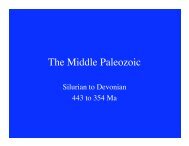 The Middle Paleozoic