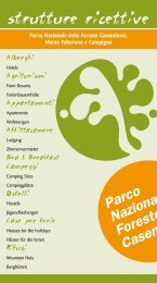 strutture ricettive - Parco Nazionale delle Foreste Casentinesi