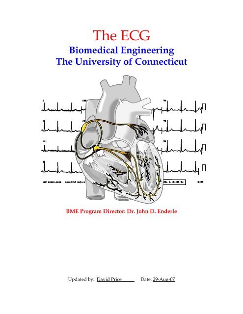 The ECG - Biomedical Engineering - University of Connecticut