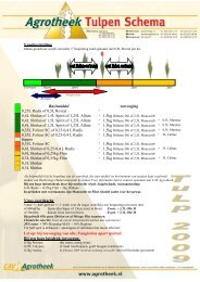 tulpen schema 2009 - CAV Agrotheek