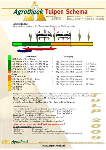 tulpen schema 2009 - CAV Agrotheek