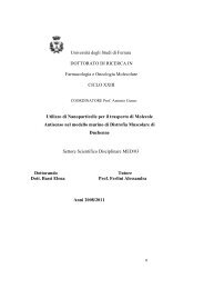 TESI per CD - UniversitÃ  degli Studi di Ferrara