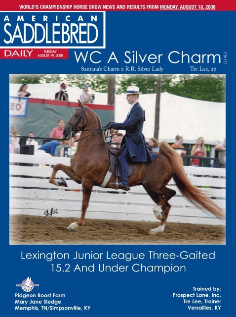 Wc A Silver Charm American Saddlebred Horse Association