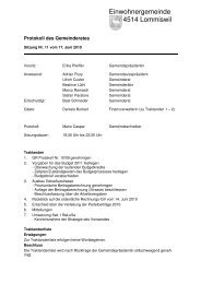 Protokoll vom 17. Juni 2010 - Gemeinde Lommiswil