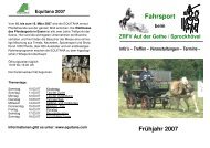 Neuer Fahrsportflyer 2007 - ZRFV Auf der Gethe e.V.