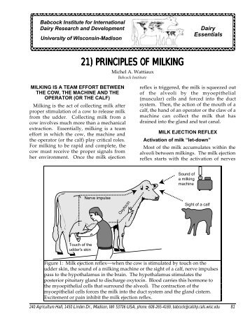 21) principles of milking - Babcock Institute - University of Wisconsin ...