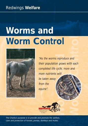 Worm Control Lft 13/10/04 - Redwings