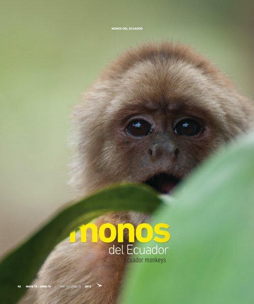 Monos del Ecuador - Abordo.com.ec