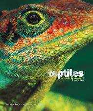 Reptiles un mundo de escamas - Abordo.com.ec