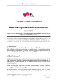 Curriculum fÃ¼r das Bachelorstudium ... - mibla.TUGraz.at