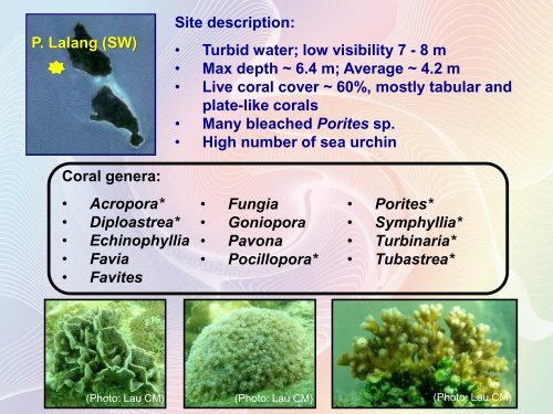 Scleractinian Coral diversity in Kepulauan Sembilan, Perak