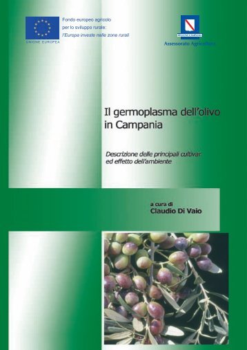 Il germoplasma dell'olivo in Campania - - AgroNotizie