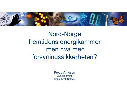 Fredd Arnesen, TK Nett - Energi Norge