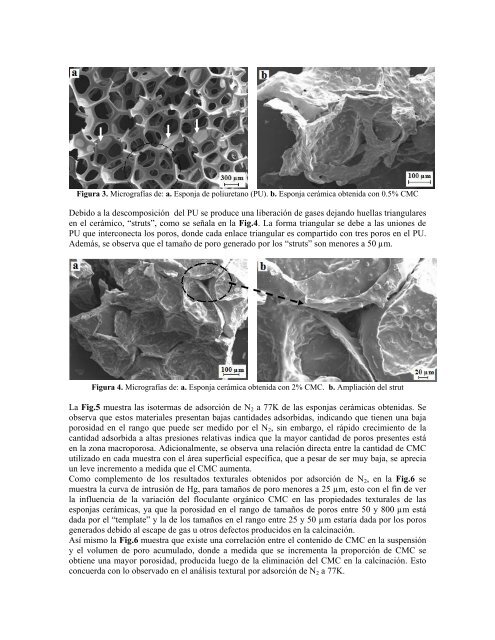 Torres, D., J. Villarroel, D. Barrera, A. Gutarra, K. Sapag. 2010.