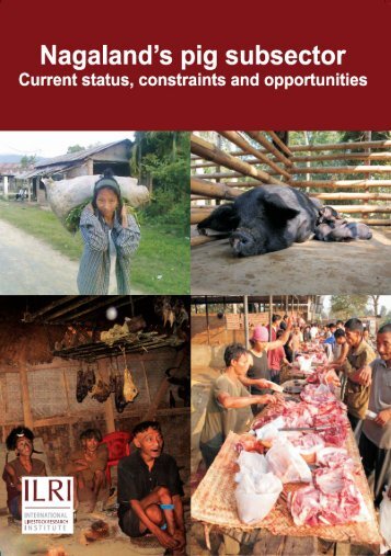 2. Nagaland, livelihoods and the pig sub-sector - CGSpace Home ...