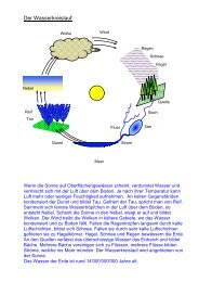 Groaÿer Und Kleiner Wasserkreislauf Aus Regenwald Wird Oroverde