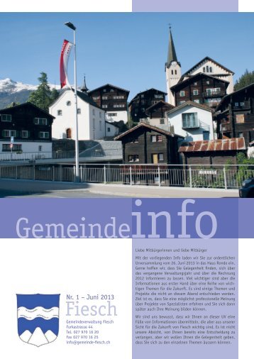 Jahresrechnung 2013 (PDF) - Gemeinde Fiesch