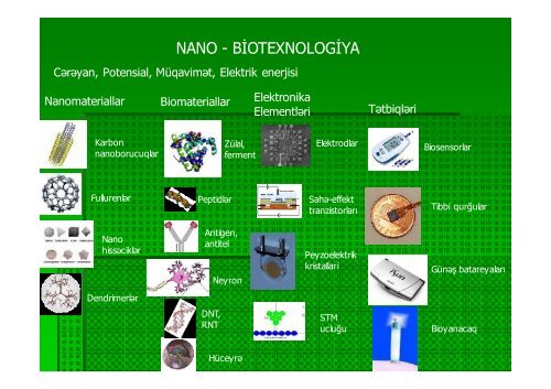 NanoBiotexnologiya vÉ ya BioNanotexnologiya XXI Ésrin ...