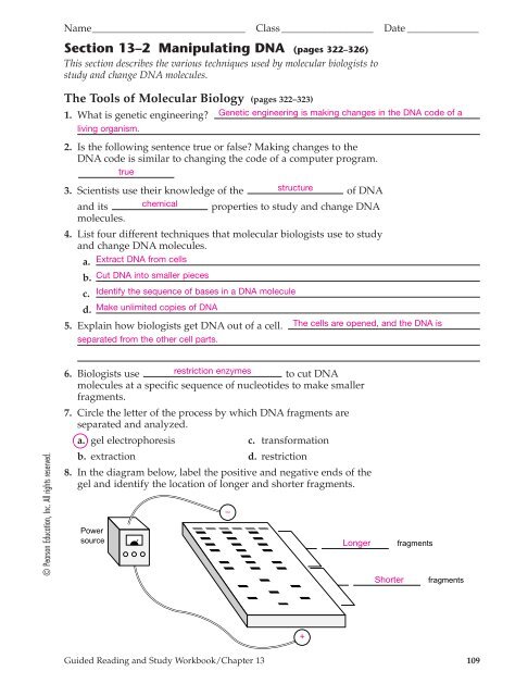 Gel Electrophoresis Worksheet Answer Key