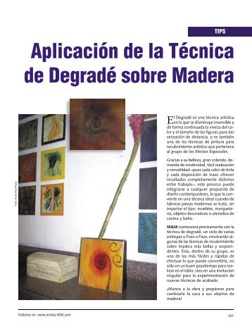 AplicaciÃ³n de la TÃ©cnica de DegradÃ© sobre Madera - Revista El ...