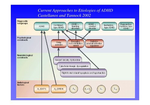 Neurobiologia dell' ADHD: stato dell' arte - Aidai