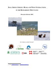 dall sheep, grizzly bear, and wolf interactions - Gwich'in Renewable ...