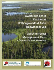 Gwich'in Forest Management Plan - Gwich'in Renewable Resources ...