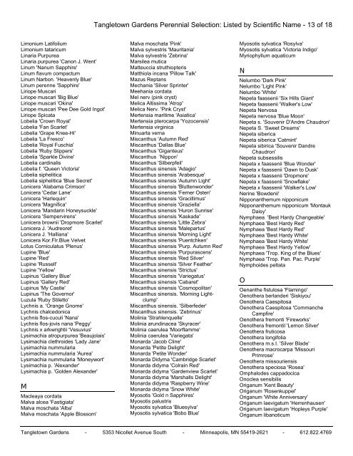 Tangletown Gardens Perennial Selection