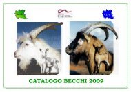 Catalogo becchi 2009 CIZ.pub