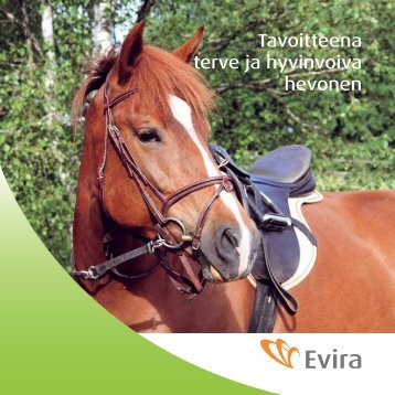 Tavoitteena terve ja hyvinvoiva hevonen - Hippos