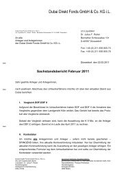 DDF I Sachstandsbericht 02/2011
