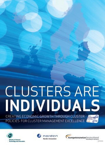 Clusters are individuals - VDI/VDE-IT