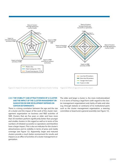 Clusters are individuals - VDI/VDE-IT