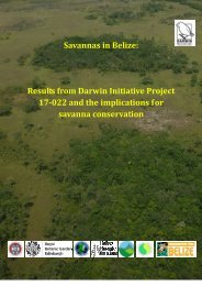 Savannas in Belize - Research - University of Edinburgh