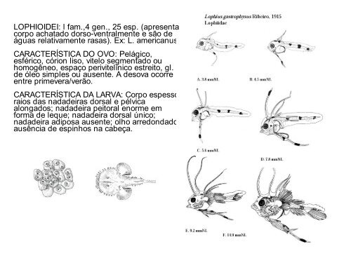 Arquivo - LaboratÃƒÂ³rio de Ecologia do IctioplÃƒÂ¢ncton - Furg