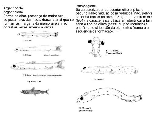 Arquivo - LaboratÃƒÂ³rio de Ecologia do IctioplÃƒÂ¢ncton - Furg