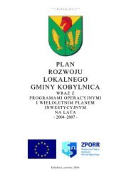 plan rozwoju lokalnego gminy kobylnica - Biuletyn Informacji ...