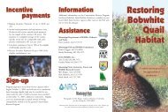 Restoring Bobwhite Quail Habitat - Forest and Wildlife Research ...