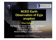 Elisa Carboni, Roy Grainger, Gareth Thomas, Andy Sayer - NCEO ...