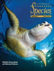 Endangered Species Bulletin - U.S. Fish and Wildlife Service