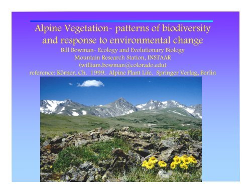 Alpine Vegetation- patterns of biodiversity and response to ...