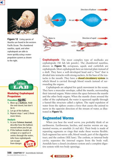 Chapter 17: Invertebrate Animals