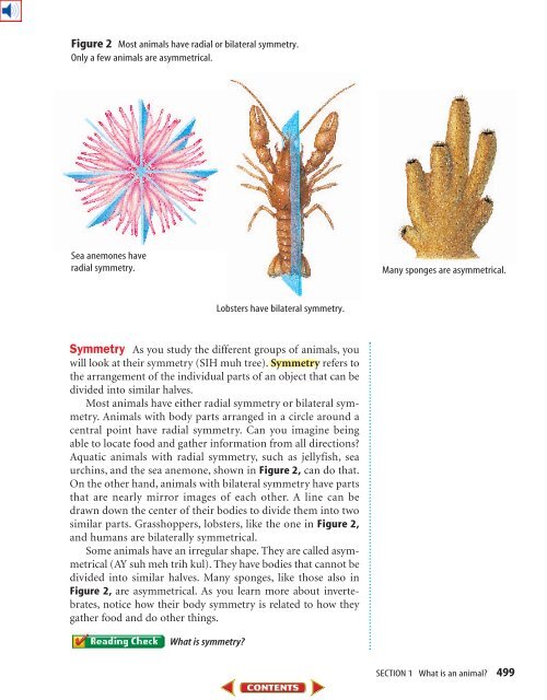 Chapter 17: Invertebrate Animals